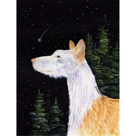 Carolines Treasures Starry Night Ibizan Hound Canvas Flag - House Size- 28 x 40 in. SS8499CHF